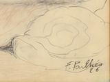 a drawing of a rose on a piece of paper