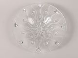 clear glass plate with a flower design on it on a white surface