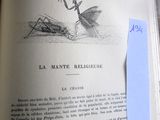 un livre ouvert sur lequel figure le dessin d'une mantis