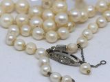 necklace with white pearls and a silver clasp on a white surface