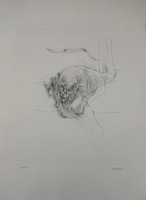 pencil drawing of a tiger laying down on a white surface