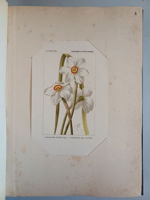 a picture of a book with a picture of flowers on it