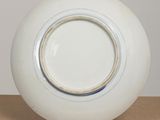 a white plate with a blue stripe on it