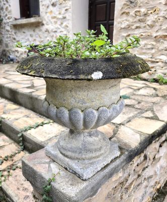 une jardinière en pierre posée sur les marches à l'extérieur d'un immeuble