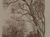 une image représentant un dessin d'un arbre sur lequel est perché un oiseau