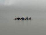 three rings that are sitting in the middle of a body of water