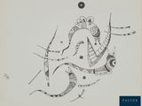 an image of a black and white drawing of a lizard