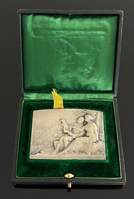 une photo représentant une petite plaque en argent dans un écrin vert