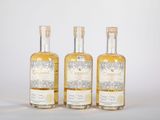 trois bouteilles de gin sur fond blanc
