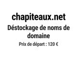 Photo 1/1 du lot