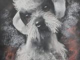 a picture of a dog with a hat on it ' s head