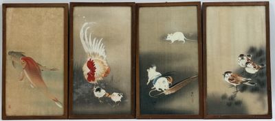four framed paintings of birds and fish in various stages of life