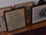 three framed pictures of a dog and a cat on the floor