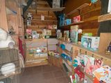 un chat assis sur une étagère dans un magasin