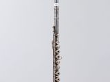 a silver flute on a clear stand against a white background
