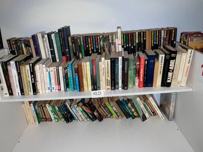 de nombreux livres qui se trouvent sur les étagères de la pièce