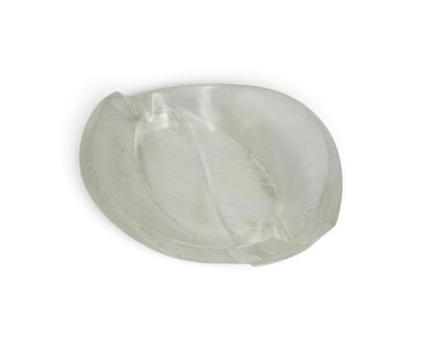 un saladier en verre transparent orné d'un motif de feuilles