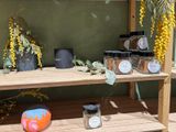 a shelf that has some jars and plants on it