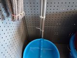 une pelle à poussière bleue et un balai bleu dans un coin d'une étagère