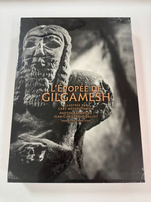 the cover of a book with a statue of a man holding a sword