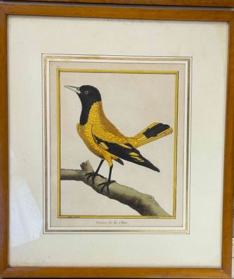 a framed picture of a bird sitting on a tree branch