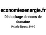 Photo 1/1 du lot