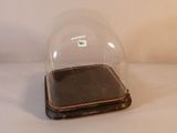 une cloche en verre reposant sur un socle en bois, posée sur une surface blanche