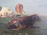 two cows that are laying down in the grass