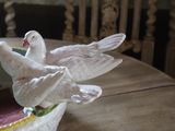 two white birds that are sitting in a bowl