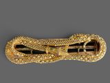 an image of a gold snake broochle on a black background