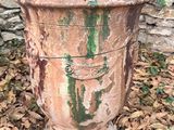 une plante qui pousse dans un pot posé à même le sol