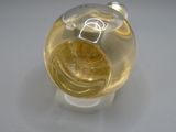 une tirelire en verre contenant une pièce