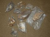 many bags of food that are on the floor