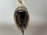 statue of a bird on a metal stand with a white background