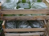 many bottles of green juice in a wooden crate
