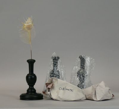 a small black vase with a yellow flower in it