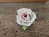 a small white rose sitting on top of a wooden table