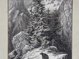 drawing of a bear in a snowy mountain landscape with pine trees