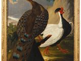 painting of a pair of pheasants in a landscape