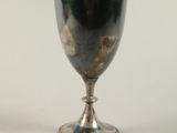 a silver goblet sitting on a white surface