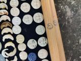 a baseball bat sitting next to a collection of buttons
