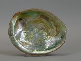 a small bowl that has a large shell inside of it