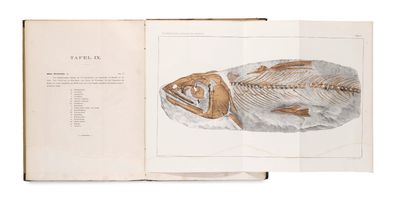 un livre ouvert sur lequel est dessiné un poisson