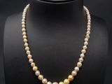 a single strand pearl necklace on a mannequin display