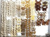 many different types of butterflies displayed in a white box