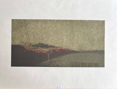 École moderne Arbres Lithographie signée en bas à droite num…