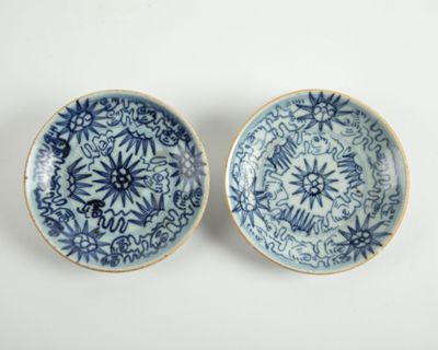 une paire d'assiettes bleues et blanches ornées de motifs floraux