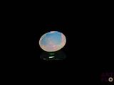 an oplite in the dark with a reflection on the surface