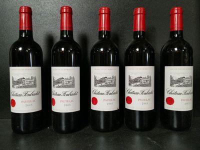 5 bouteilles de vin rouge du Château Fonbadet Pauillac 2005 … - Photo 1