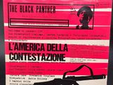 the black panther by america della contestazione
